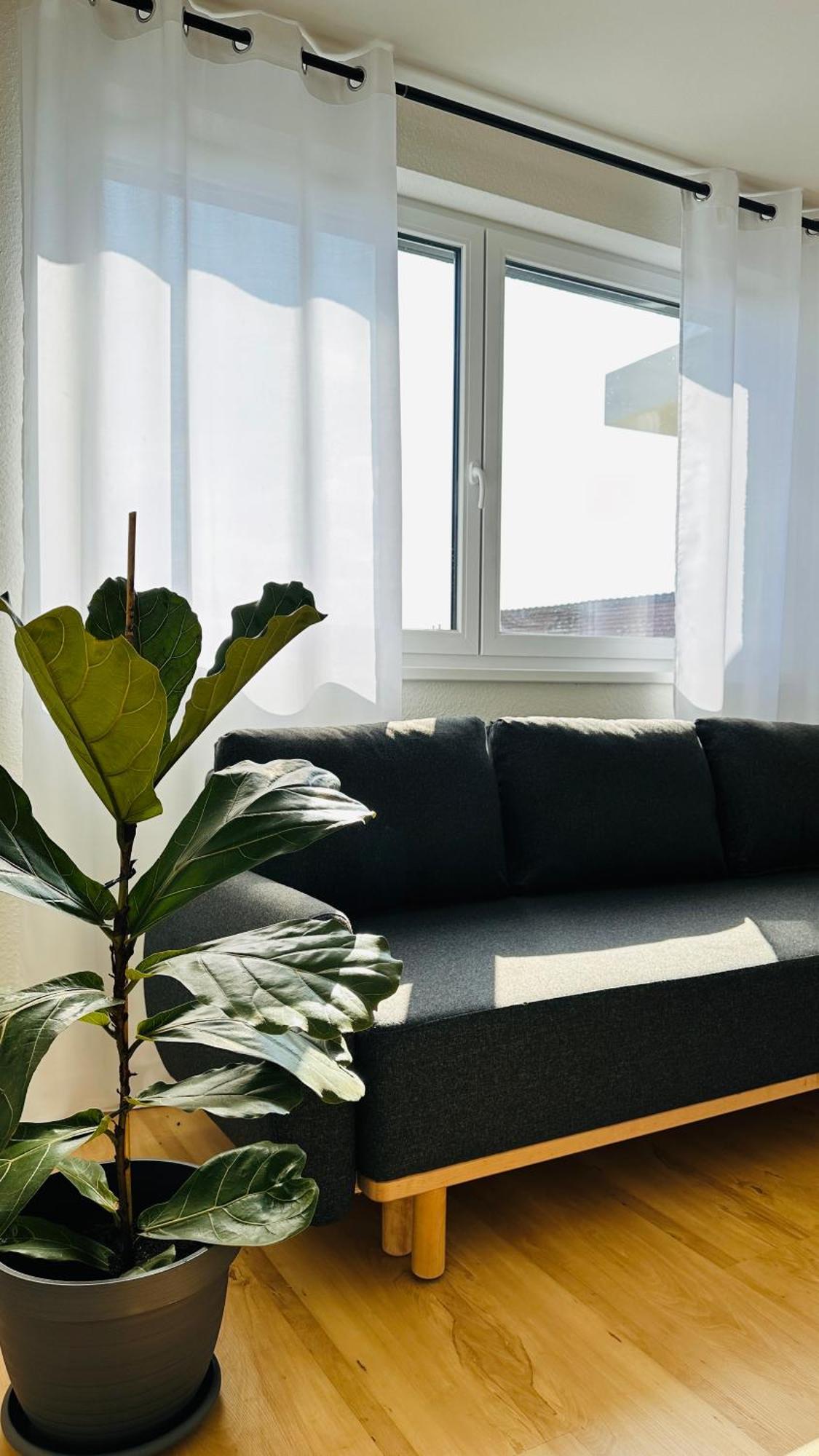 Amao-Sepia I 86Qm I King-Size Beds I Netflix I Privat Balcony I Free Parking I Near Europapark Rheinhausen Exterior foto